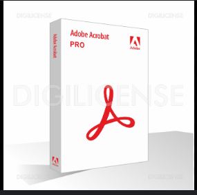 Adobe